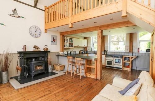 Llandrindod Wells Cottage | St. Marks School House, 2 dogs