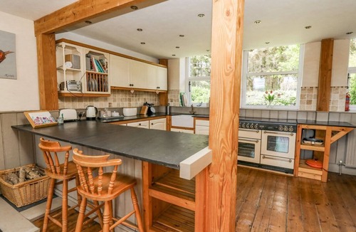 Llandrindod Wells Cottage | St. Marks School House, 2 dogs