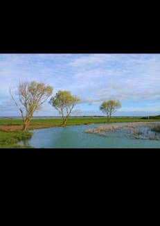 Beckingham Resort | Steeple Bay E68