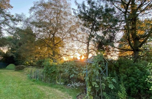 Cleedownton Apartment | Studio-LickeyHills-NearAttractions-Garden-1 Pet Ok