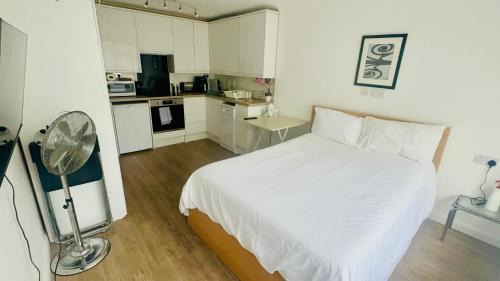 East Dunstable Apartment | Studio - Sleeps 2 - Wifi - Parking