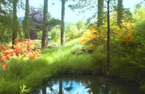 Llanidloes House | Stunning panoramic views & 2 acre woodland with 5 pools, waterfalls & 17 benches