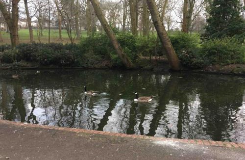 Hanham Apartment | Superb Peaceful 1 bed apartment in St George.