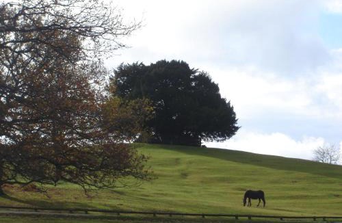 New Forest District House | The Bothy