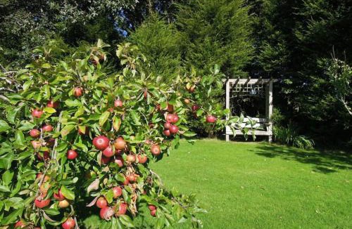 High Street House | The Cider Barn