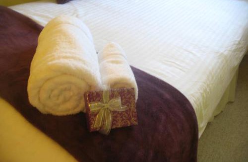 Cambridge Bed & Breakfast | The Holly Tree