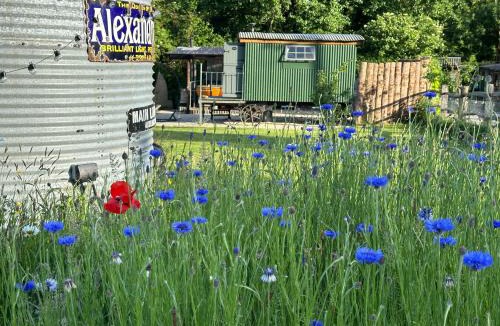 Compton Abbas Bed & Breakfast | The Old Forge Glamping and Cottage Stays