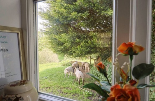 Knowstone Apartment | The Old Workshop, Knowstone