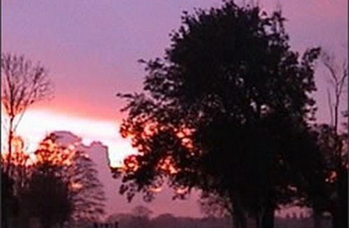 Beccles Bed & Breakfast | The Stables