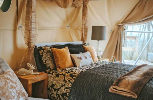 Farden House | The Tree Dome - Ukc6979