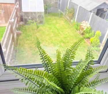 Powick House | The Vine