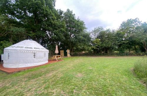 Llandysul Other | The Yurt at Five Oaks Campsite