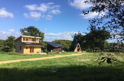 Newport House | Tiny Home cabin Eilidh