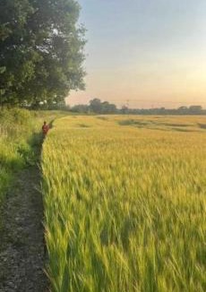 Sherborne St. John Villa | Tranquil detached barn in Sherborne St John