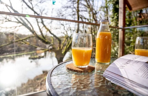 Beaworthy House | Treehouse in Germansweek near Dartmoor Trails