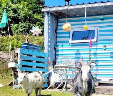 Redruth Other | Treguth Glamping Unique Experience - Themed Huts