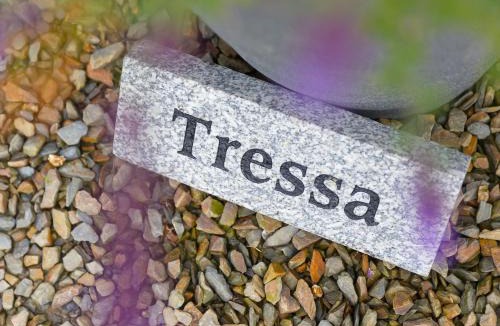 Saint Breward House | Tressa, Tor Down Quarry