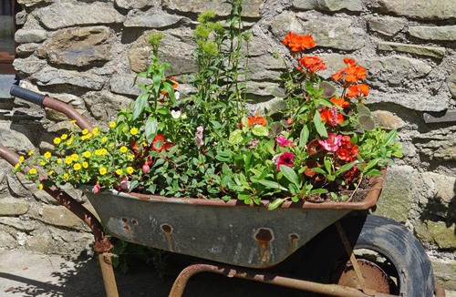 Llanon Cottage | Ty Clyd