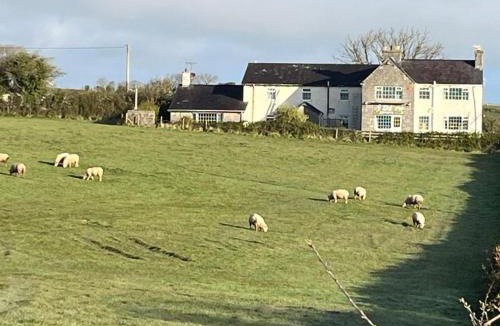 Moelfre Hotel | Ty Dderw