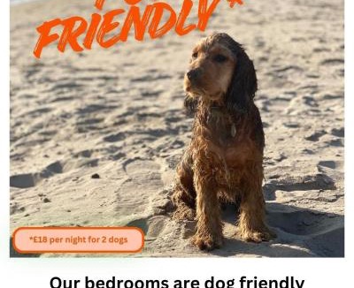 Moelfre Hotel | Ty Dderw