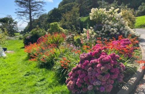 Cwrt House | Ty Ffarm, Gogarth