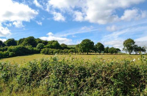 Llanvair Kilgeddin House | Ty-Gwyn