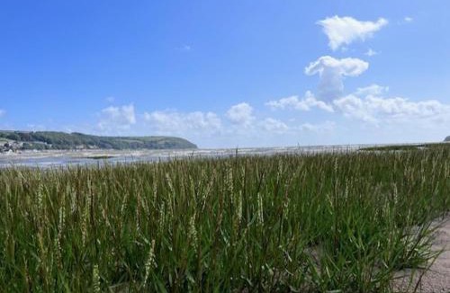 Llanybri House | Ty Llaeth 2-Bed Cottage Sleeps 4 Pet Friendly