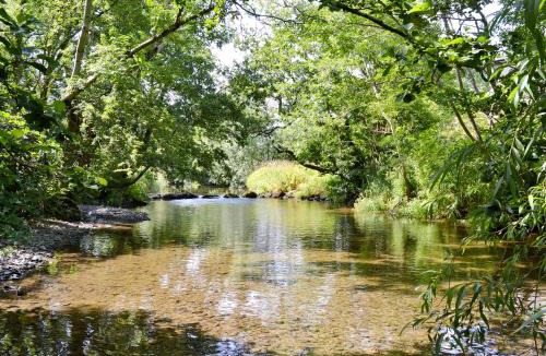 Oswestry House | Ty Rhyd