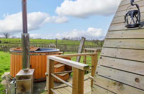 Halesworth House | Vine View