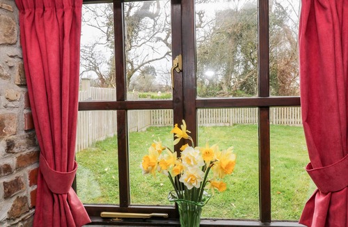 Holsworthy Cottage | Wagtail