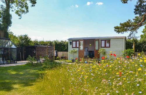 Driffield House | Wildflower View