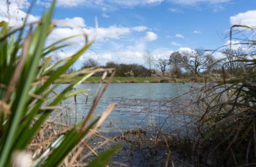 Woodbridge House | Willow Cottage