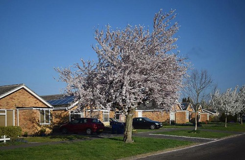 Oakham Bed & Breakfast | Wings