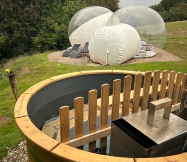 Maidstone Other | Wooded Bubble