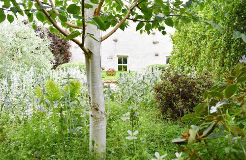 Penrith House | Yew Tree