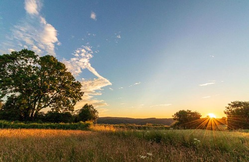 Redbrook Other | Yurt Ash tree