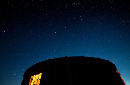 Redbrook Other | Yurt Ash tree