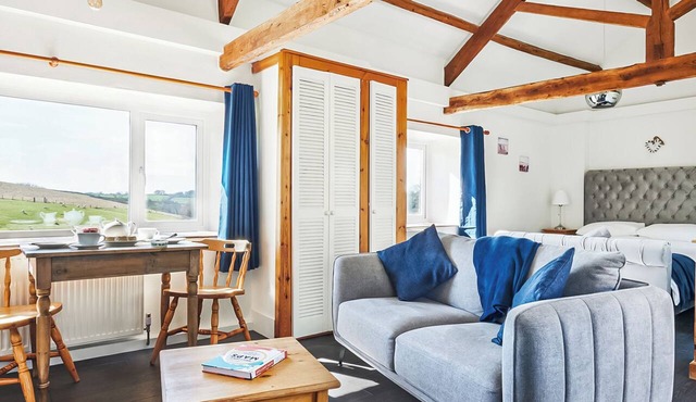 1 bedroom accommodation in Barnstaple