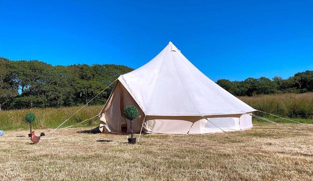 Coedmor Camping