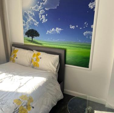 D D Studio Apartment