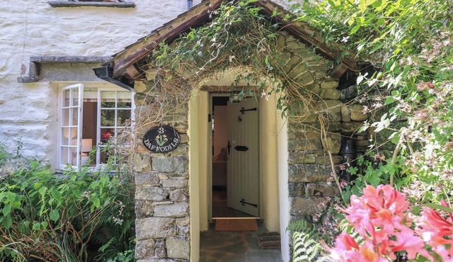 Daffodils in Ambleside