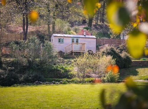 Dipper's Hut - Luxury Shepherds Hut with Hot Tub