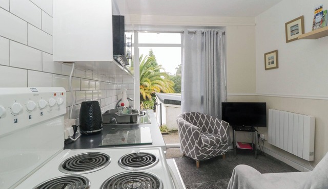 Flat 3, Big Tree Holiday Flats