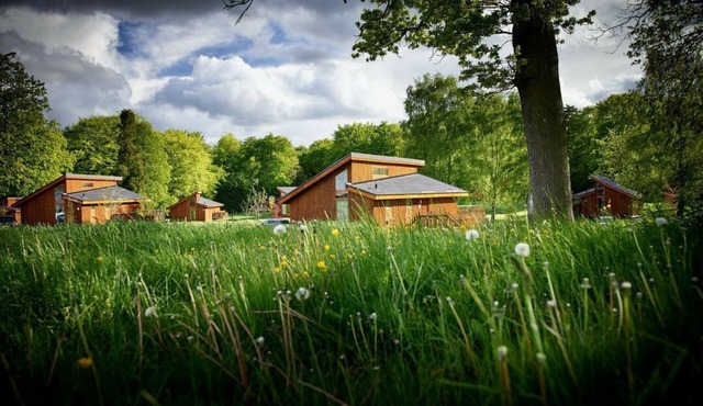 Forest of Dean Meadow - Silver Birch cabin, Coleford