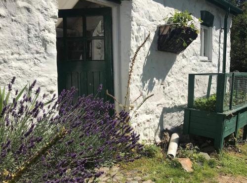 Hapus Yurt - Two Beautiful Yurts and Barn Cottage