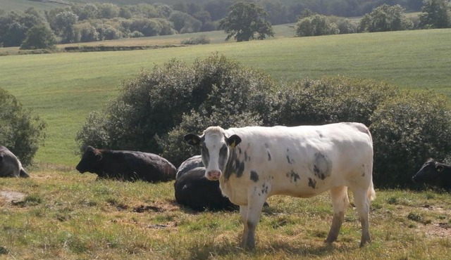 Harepath Farm Cottages 1