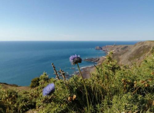 Kiberick Cottage at Crackington Haven, near Bude and Boscastle, Cornwall