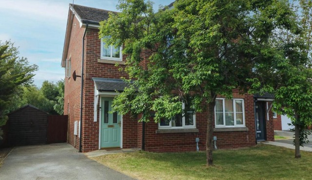 Meadow View