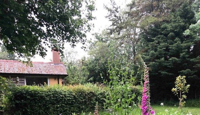 Seclusion by a Riverside Garden on Two Moors Way