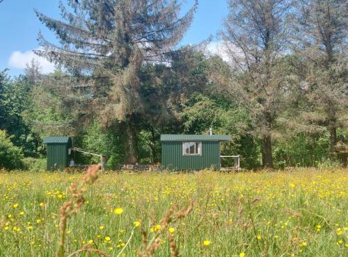 Shepherd's Hut Harmony at A Therapeutic Space